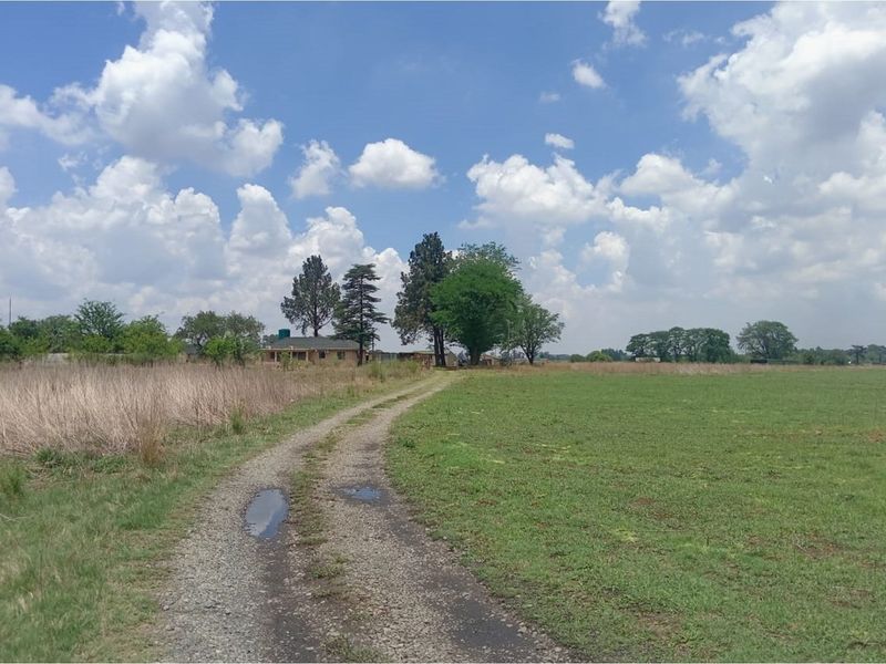 Charming Farmhouse Retreat in Witkop Meyerton Awaits You - Photo 5