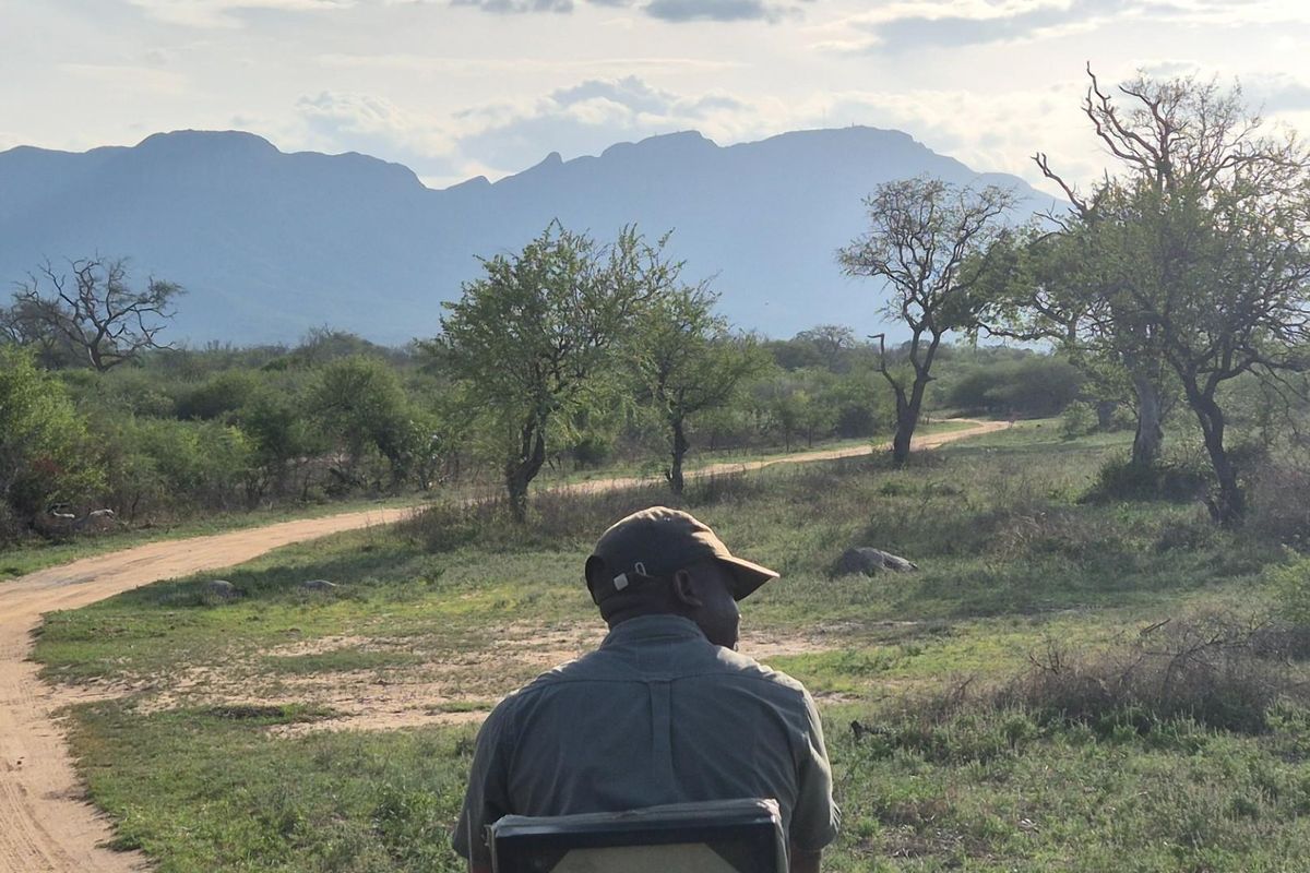 More than 1 Ha to build your African Home in Moditlo Wildlife Estate, Hoedspruit - Photo 2