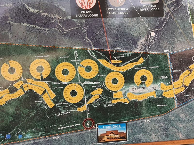 More than 1 Ha to build your African Home in Moditlo Wildlife Estate, Hoedspruit - Photo 8