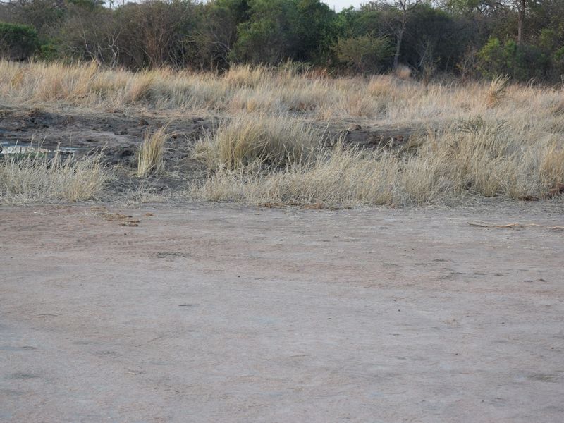 More than 1 Ha to build your African Home in Moditlo Wildlife Estate, Hoedspruit - Photo 10