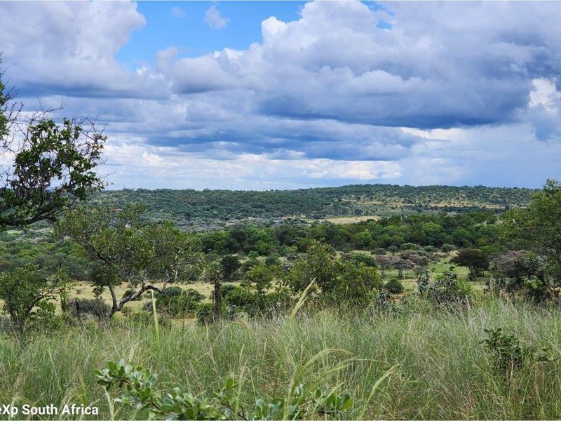 Intaba-Indle - Vacant land - Tar Roads - Indigenous trees - Dam and Swimming Pool - Photo 10