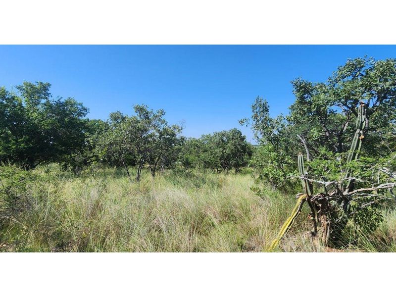 Intaba-Indle - Vacant land - Tar Roads - Indigenous trees - Dam and Swimming Pool - Photo 3