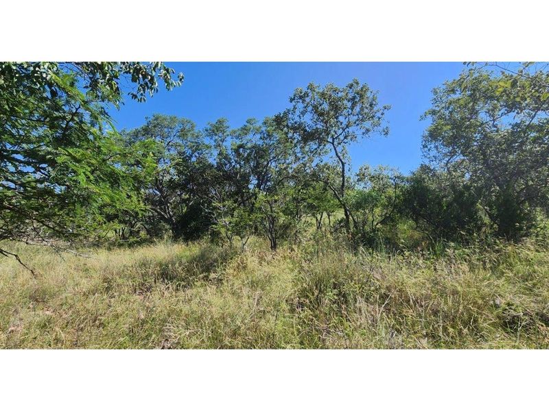 Intaba-Indle - Vacant land - Tar Roads - Indigenous trees - Dam and Swimming Pool - Photo 7