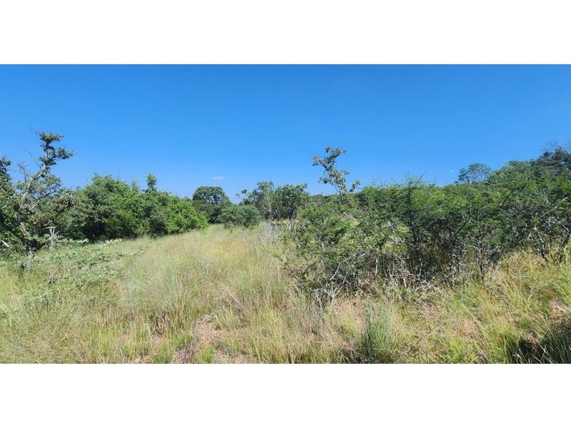 Intaba-Indle - Vacant land - Tar Roads - Indigenous trees - Dam and Swimming Pool - Photo 6