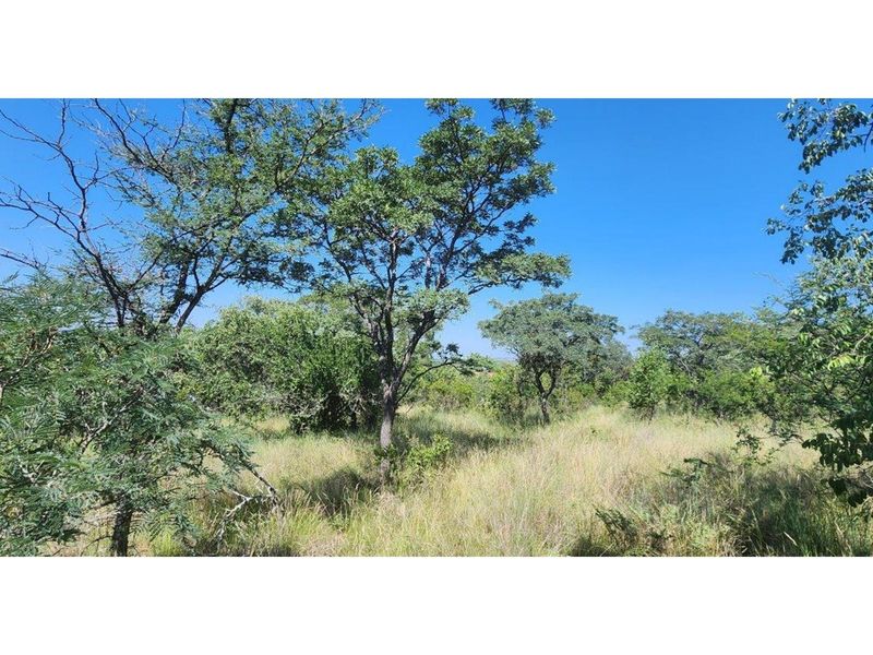 Intaba-Indle - Vacant land - Tar Roads - Indigenous trees - Dam and Swimming Pool - Photo 2