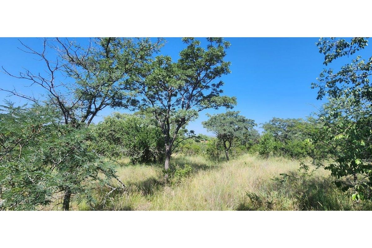 Intaba-Indle - Vacant land - Tar Roads - Indigenous trees - Dam and Swimming Pool - Photo 2