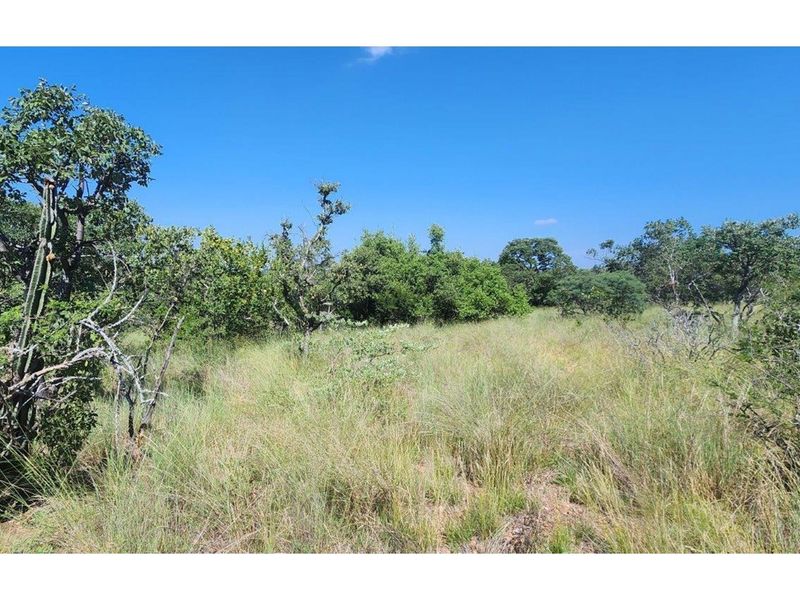 Intaba-Indle - Vacant land - Tar Roads - Indigenous trees - Dam and Swimming Pool - Photo 4