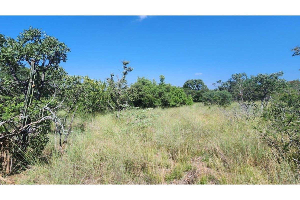 Intaba-Indle - Vacant land - Tar Roads - Indigenous trees - Dam and Swimming Pool - Photo 4