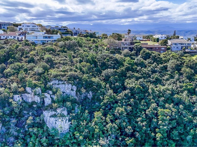 An elevated aerial view of a residential hillside area featuring dense natural vegetation, rocky outcrops, and established homes overlooking the landscape.