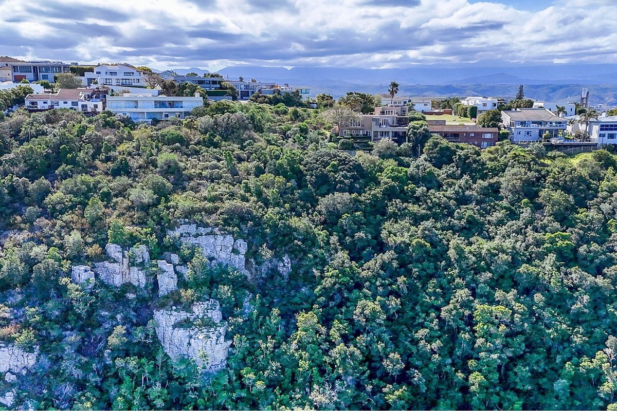 An elevated aerial view of a residential hillside area featuring dense natural vegetation, rocky outcrops, and established homes overlooking the landscape.