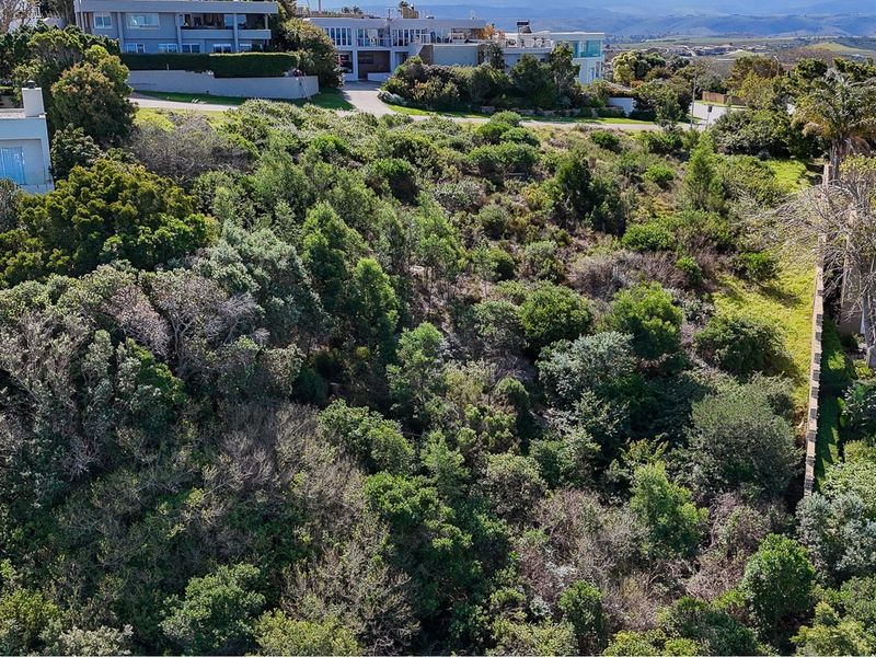 An elevated aerial view of a sloped, heavily vegetated residential vacant land plot with surrounding established neighborhood properties.