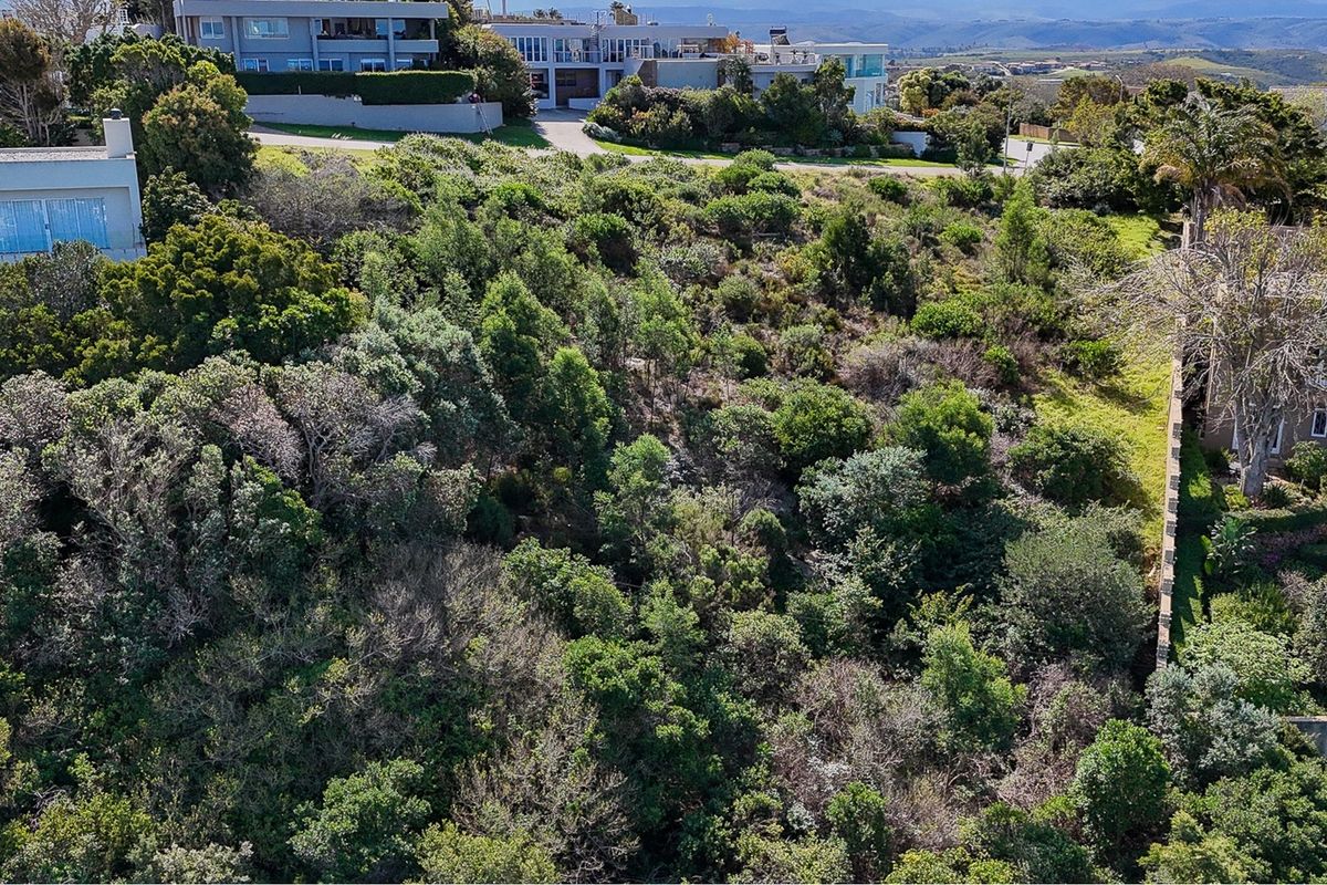 An elevated aerial view of a sloped, heavily vegetated residential vacant land plot with surrounding established neighborhood properties.