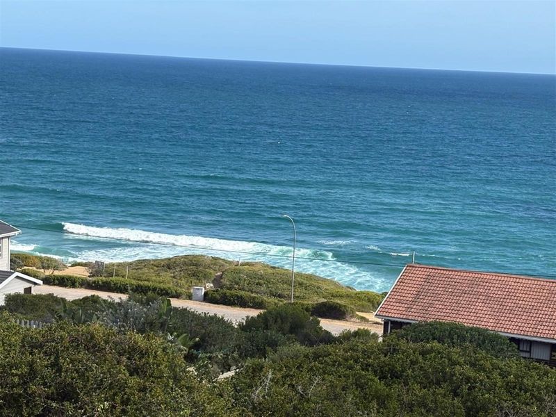 A scenic elevated view overlooking the ocean, coastal vegetation, and nearby residential rooftops.
