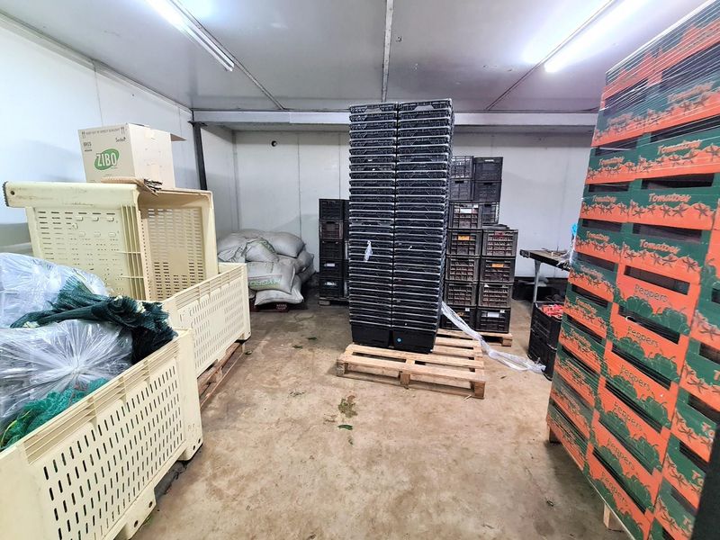 Diversified Agricultural Haven Near Komatipoort 338Ha Sugarcane and Cash Crop Farm - Photo 6