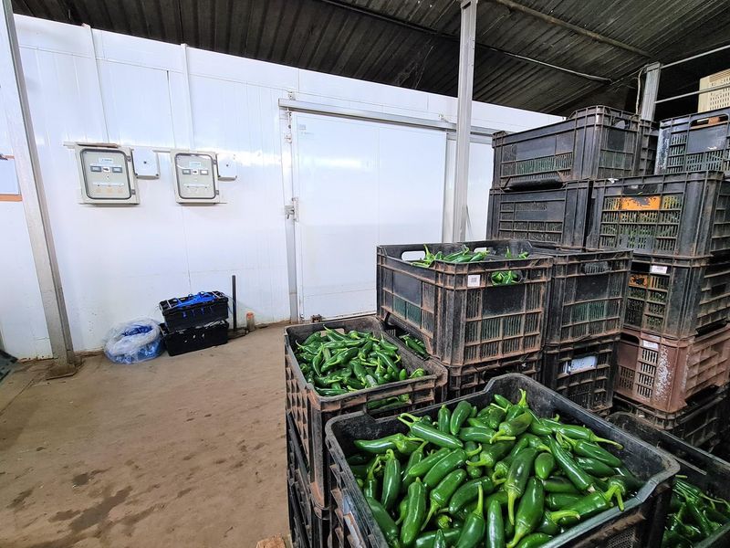 Diversified Agricultural Haven Near Komatipoort 338Ha Sugarcane and Cash Crop Farm - Photo 5