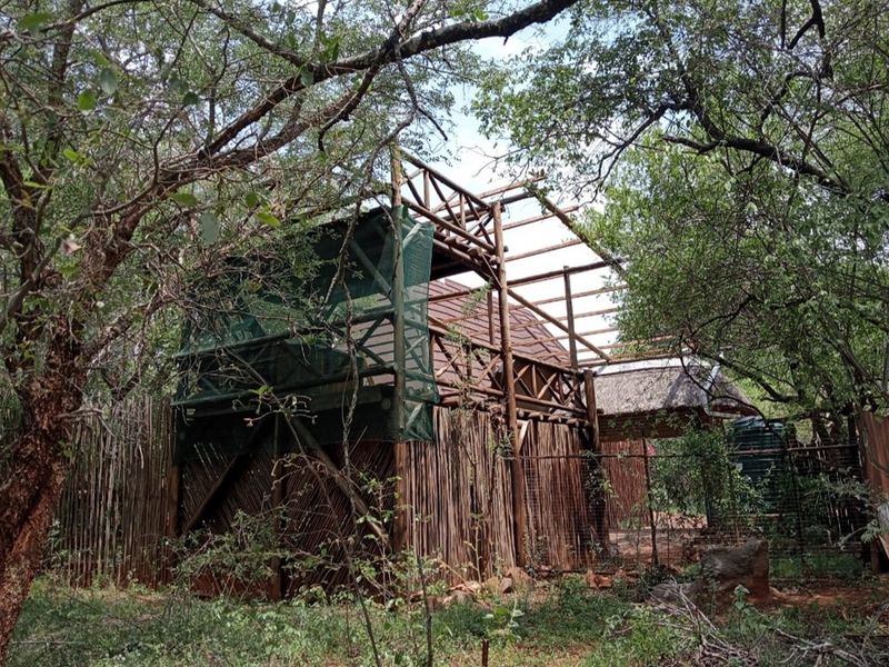 House Under Offer in Marloth Park - Photo 4