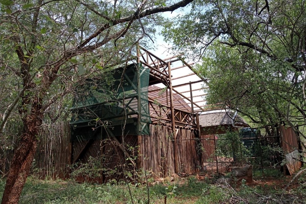 House Under Offer in Marloth Park - Photo 4