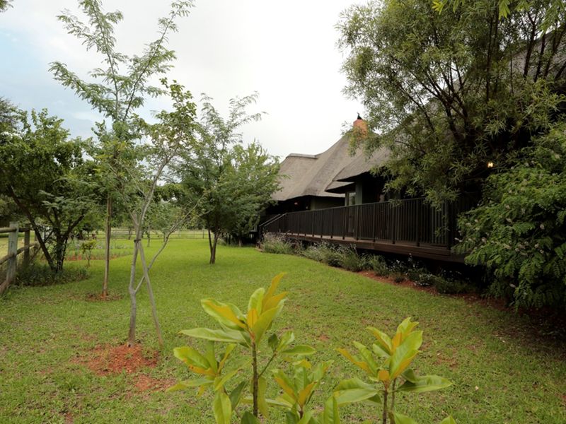 5 Bedroom House for Sale in Popular Letamo Game Estate close to Krugersdorp in Cradle of Humankind - Photo 8