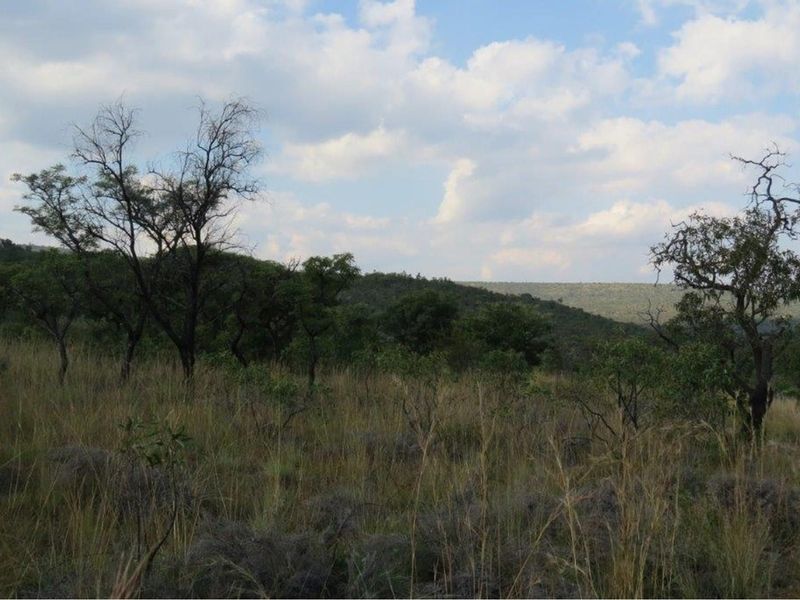 Zwartkloof Game Reserve - Beautiful private stand - mountain views and indigenous trees. - Photo 7