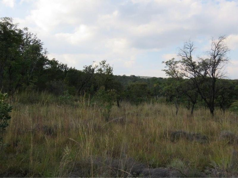 Zwartkloof Game Reserve - Beautiful private stand - mountain views and indigenous trees. - Photo 6