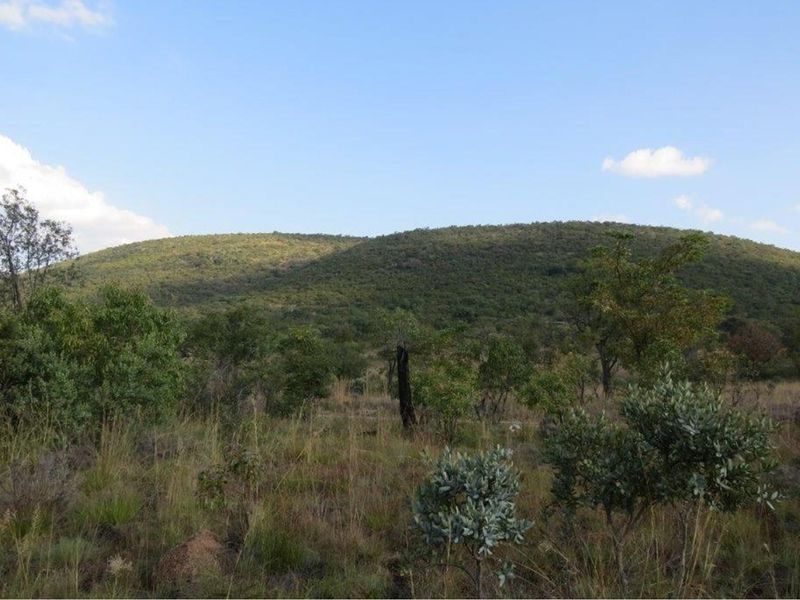 Zwartkloof Game Reserve - Beautiful private stand - mountain views and indigenous trees. - Photo 2