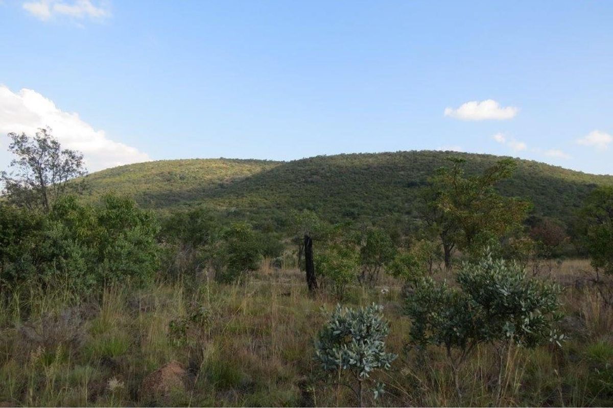 Zwartkloof Game Reserve - Beautiful private stand - mountain views and indigenous trees. - Photo 2