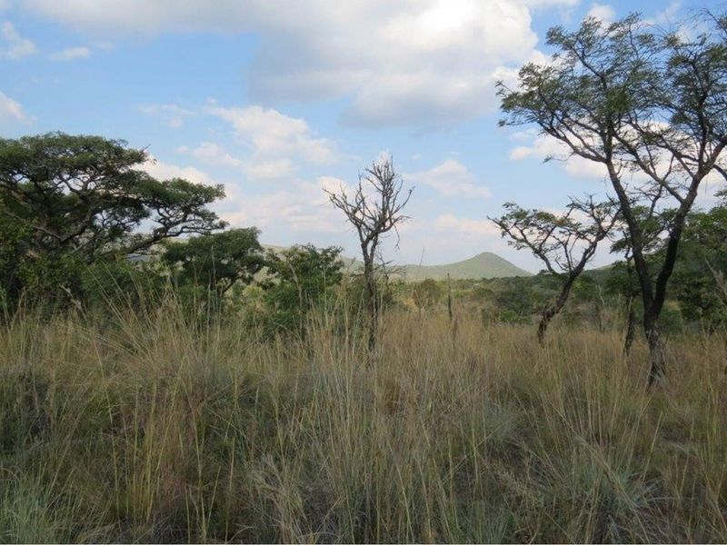 Zwartkloof Game Reserve - Beautiful private stand - mountain views and indigenous trees. - Photo 3