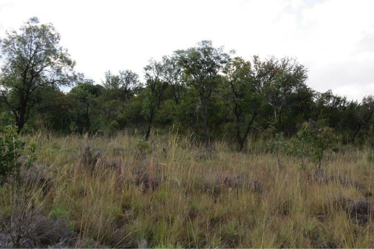 Zwartkloof Game Reserve - Beautiful private stand - mountain views and indigenous trees. - Photo 5