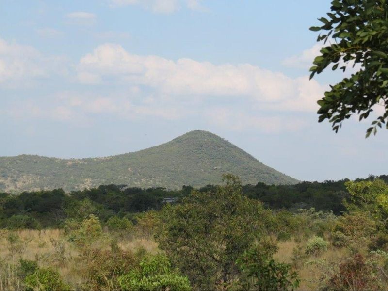 Zwartkloof Game Reserve - Beautiful private stand - mountain views and indigenous trees. - Photo 4