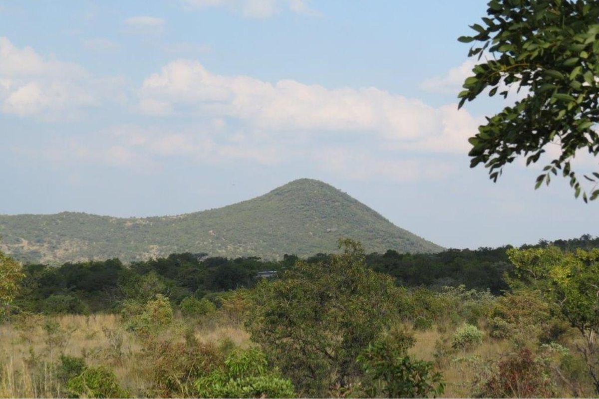 Zwartkloof Game Reserve - Beautiful private stand - mountain views and indigenous trees. - Photo 4