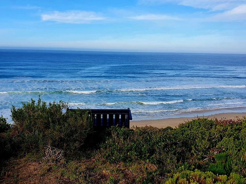 A scenic coastal view overlooking the ocean and sandy beach, framed by natural coastal vegetation.