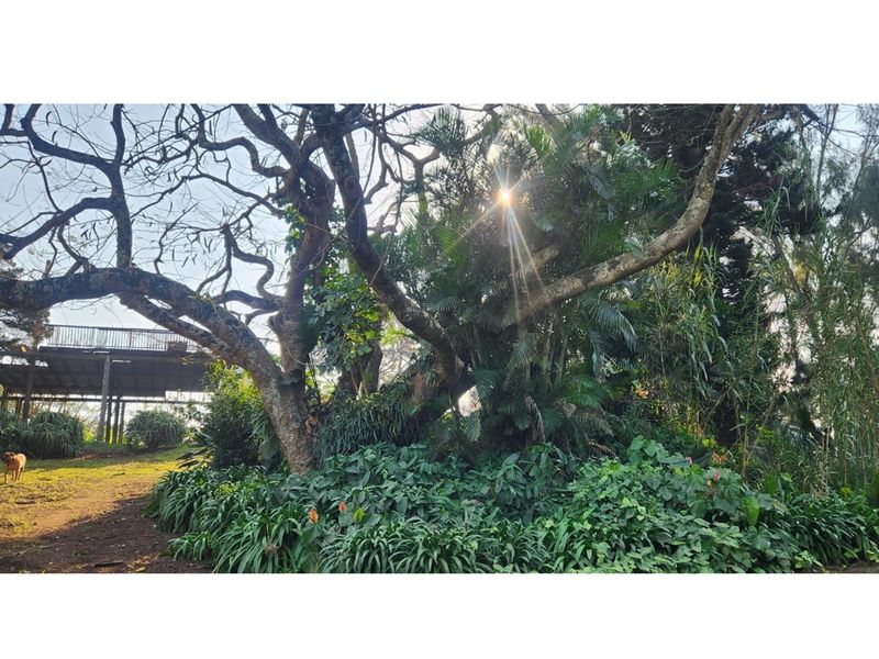 3-Bedroom Home for Sale in Tugela Mouth - A Peaceful Coastal Retreat - Photo 9