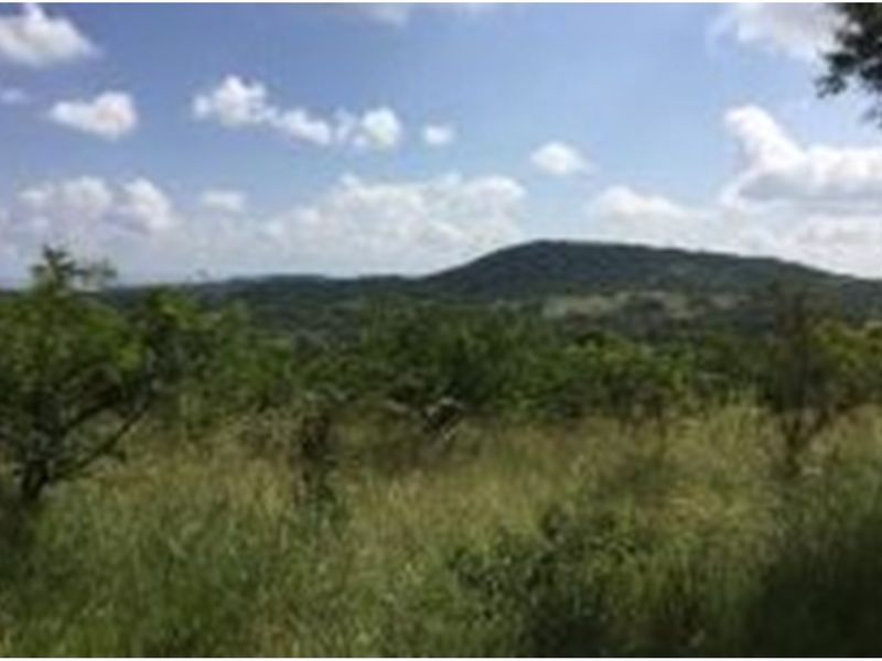 "Rare Land Opportunity in Wild Fig Estate, South Africa" - Photo 8