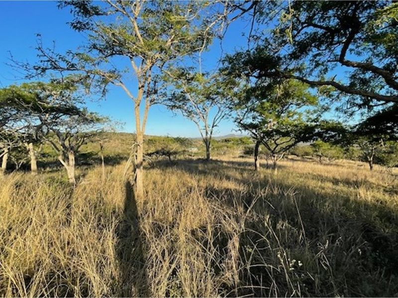 "Rare Land Opportunity in Wild Fig Estate, South Africa" - Photo 7