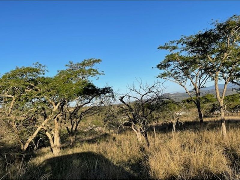 "Rare Land Opportunity in Wild Fig Estate, South Africa" - Photo 6