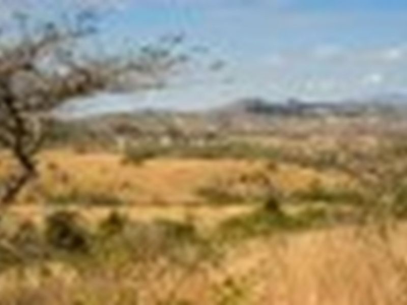 "Rare Land Opportunity in Wild Fig Estate, South Africa" - Photo 10