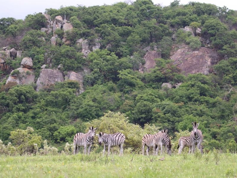 "Rare Land Opportunity in Wild Fig Estate, South Africa" - Photo 1