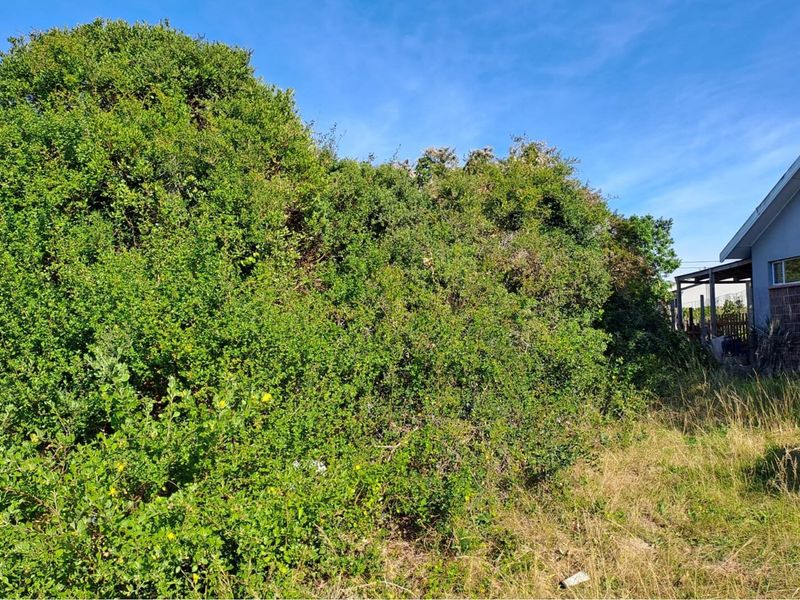Vacant Land / Plot For Sale in Aston Bay - Photo 2