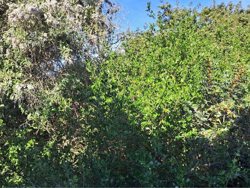 Vacant Land / Plot For Sale in Aston Bay - Photo 5