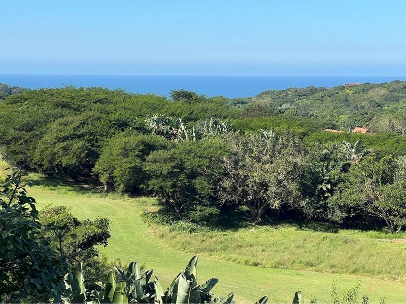 Zimbali Townhouse Overlooking the Golf Course with Distant Sea Views - Photo 4