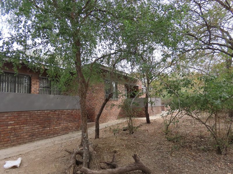 "Modern 4 Bedroom Home Close to the Crocodile River in Marloth Park Awaits You" - Photo 4