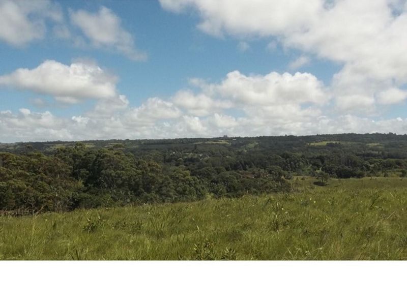 A Jewel in The South Coast - Photo 7