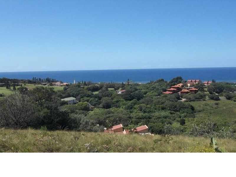 A Jewel in The South Coast - Photo 5