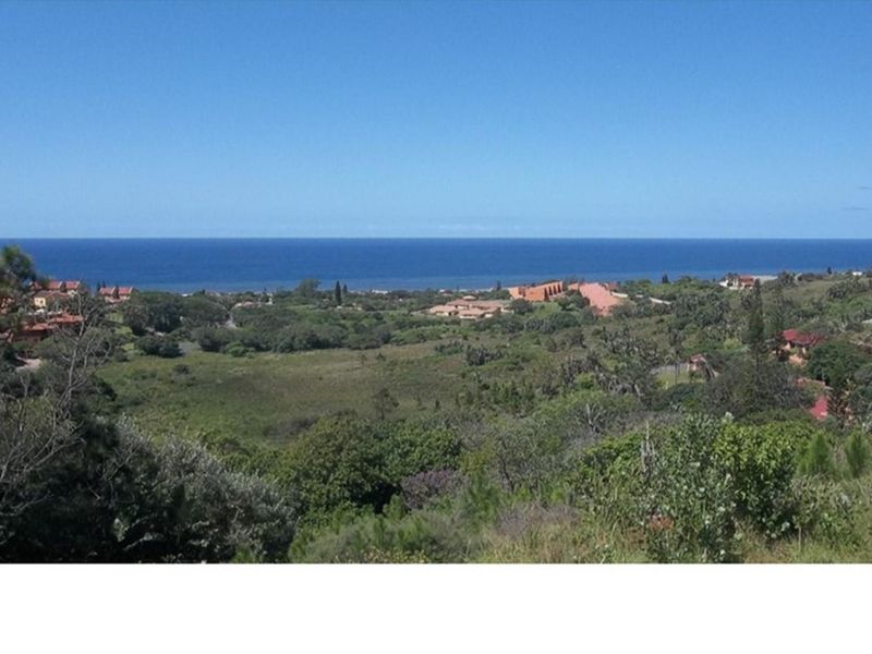 A Jewel in The South Coast - Photo 10