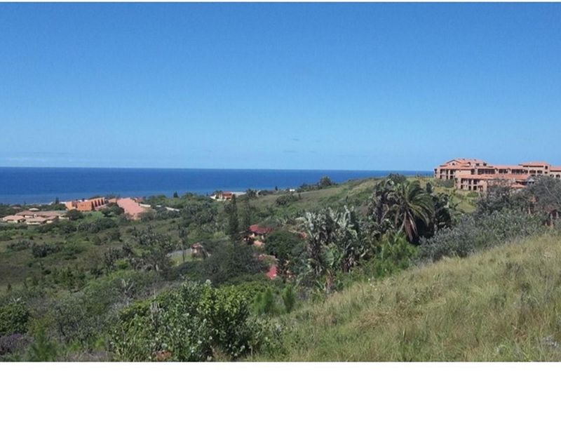 A Jewel in The South Coast - Photo 9