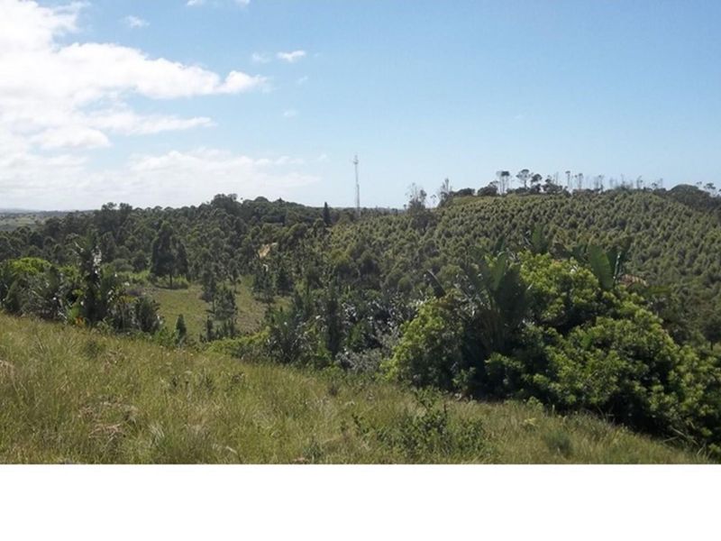 A Jewel in The South Coast - Photo 8