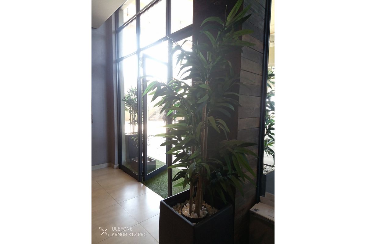 Reduced grab it this fresh breath-taking deal on the beach. - Photo 3