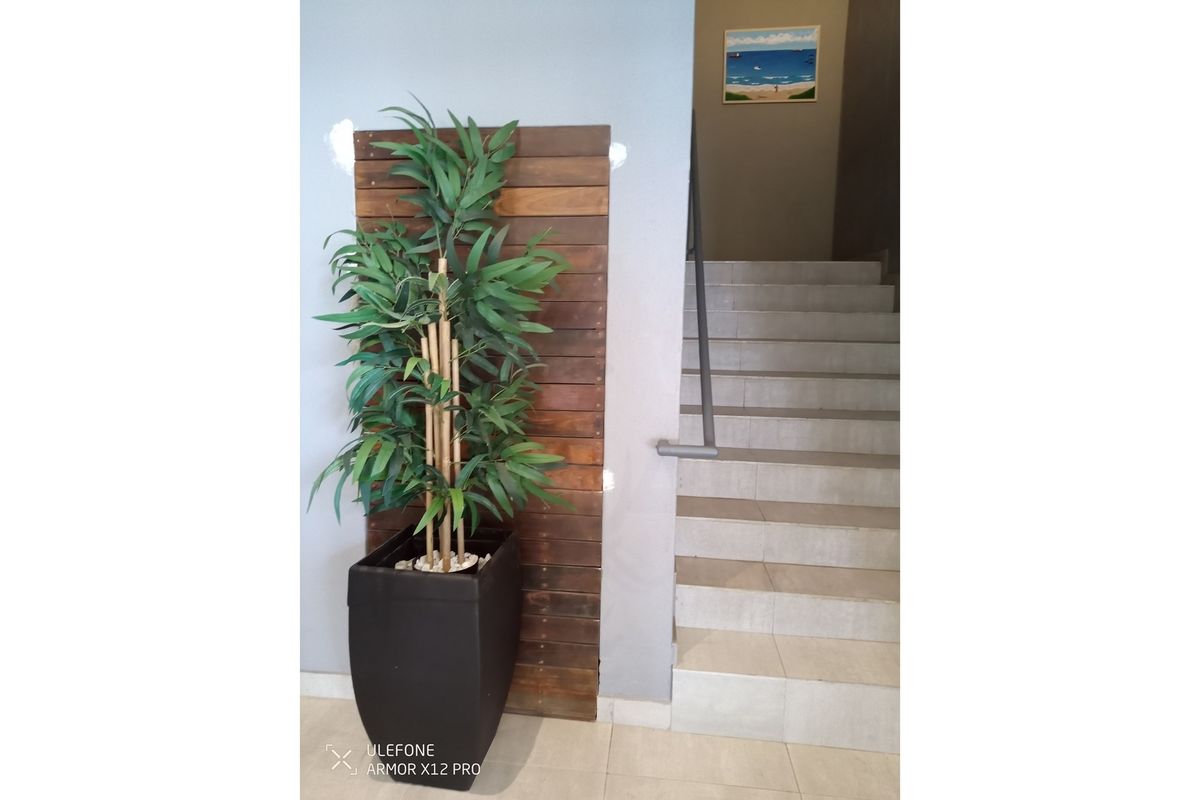 Reduced grab it this fresh breath-taking deal on the beach. - Photo 4