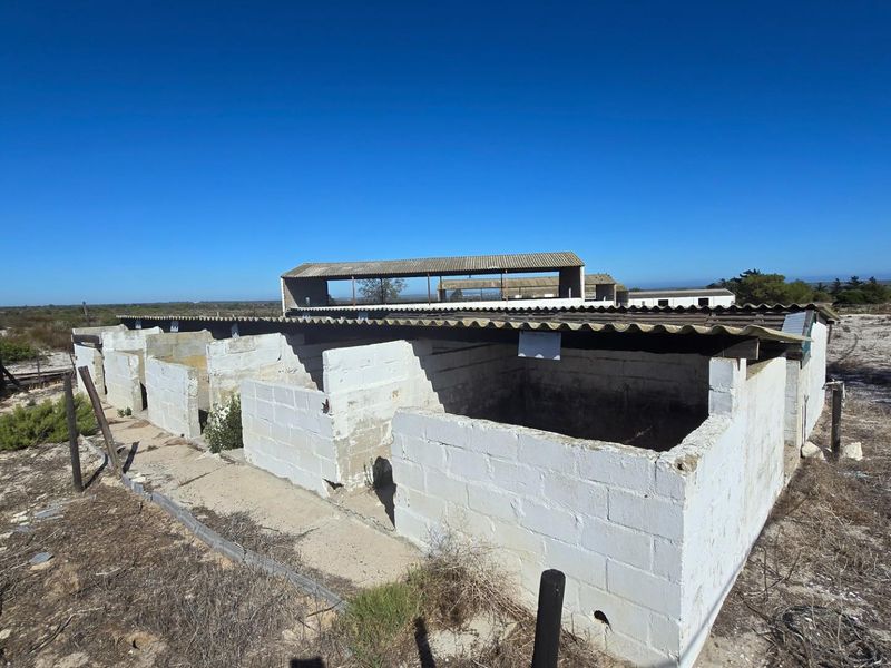 Yzerfontein Farm with Panoramic Sea Views - 328ha West Coast-RSA - Photo 9