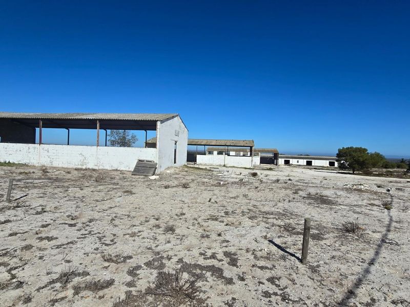 Yzerfontein Farm with Panoramic Sea Views - 328ha West Coast-RSA - Photo 6